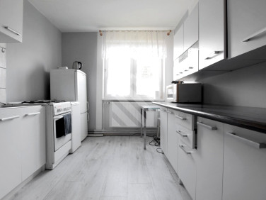 Mieszkanie przy lesie