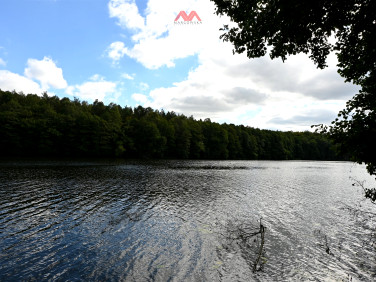 Działka rekreacyjna Ptusza