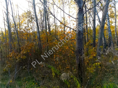 Działka budowlana Makówka sprzedam