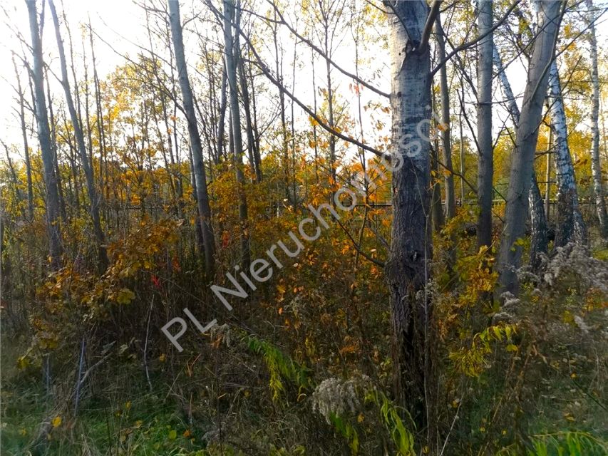 Działka budowlana Makówka sprzedam