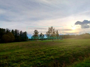 Działka budowlana Chrzanów Mały