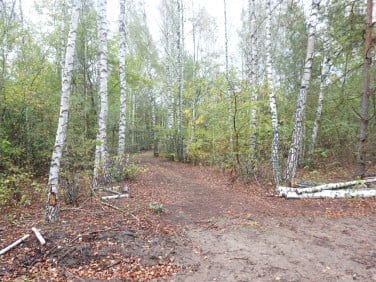 Działka budowlana Dziekanów Polski