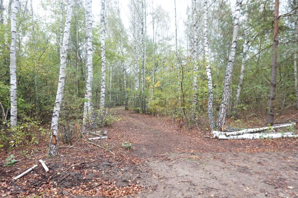 Działka budowlana Dziekanów Polski