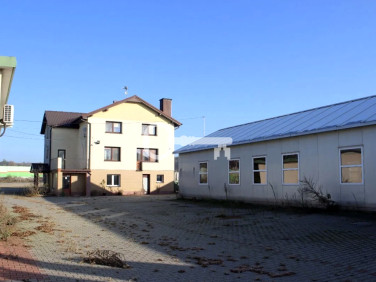 Lokal Piotrków Trybunalski