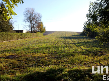 Działka Prandocin-Wysiołek