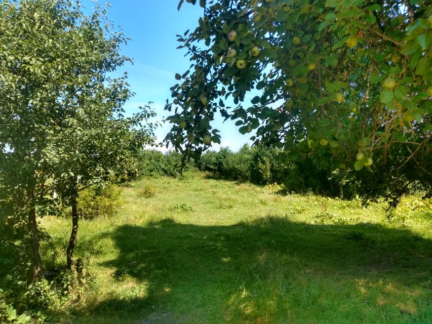 Działka budowlana Stare Orzechowo