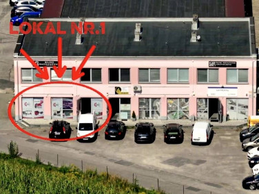 Lokal Siedlce