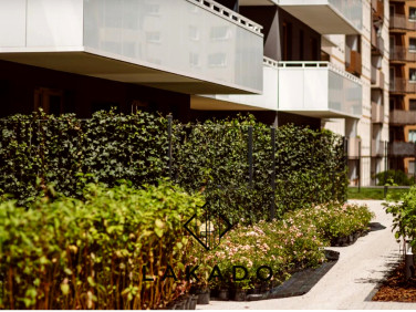 Mieszkanie Kraków sprzedaż