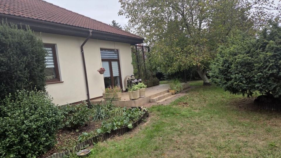 Zdjęcie 2