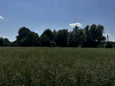 Działka budowlana Zwola Poduchowna