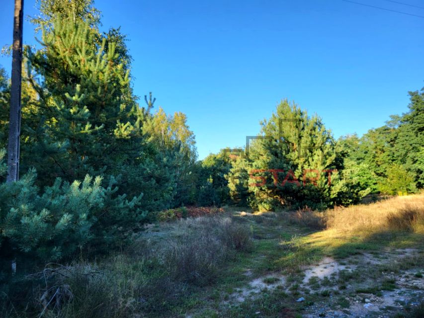 Działka rolna Borszyce