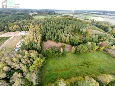 Działka siedliskowa Strzebielino