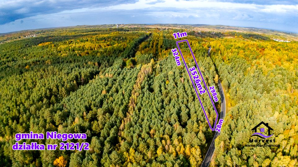 Działka leśna Niegowa