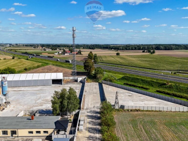 Budynek użytkowy Buk