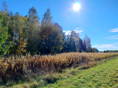 Działka budowlana Celinów