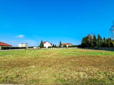 Działka Różyny