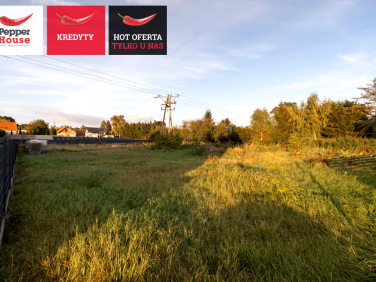 Działka usługowa Stegna