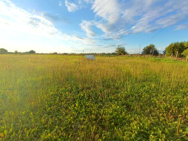 Działka rolna Smolęcin