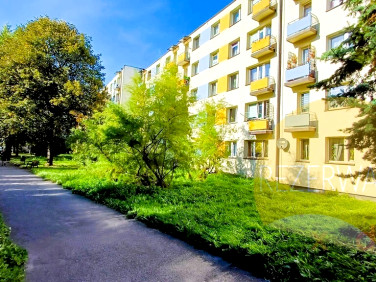 Mieszkanie Kielce