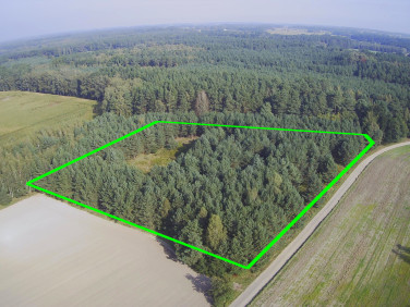 Zalesiona działka Nowa Róża