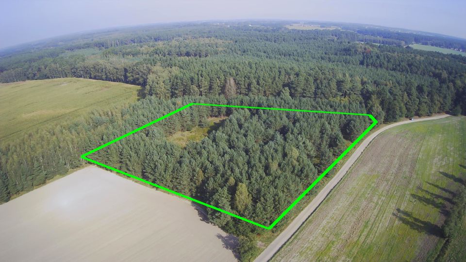 Zalesiona działka Nowa Róża
