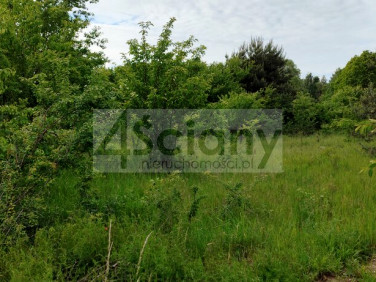 Działka budowlana Rusiec sprzedam