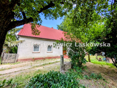 Dom Ścinawa sprzedaż