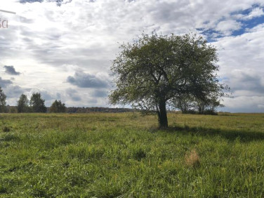 Działka budowlana Glinik Średni