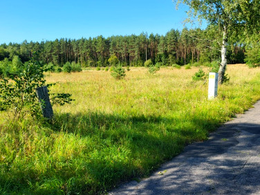 Działka budowlano-rolna Stawno sprzedam