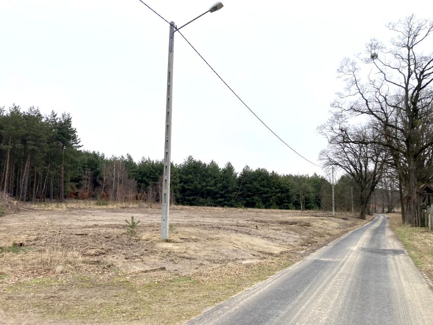 Działka rolna Gola Wielka