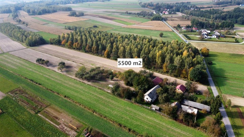 Działka budowlana Żołynia