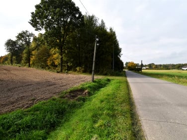 Działka przy lesie