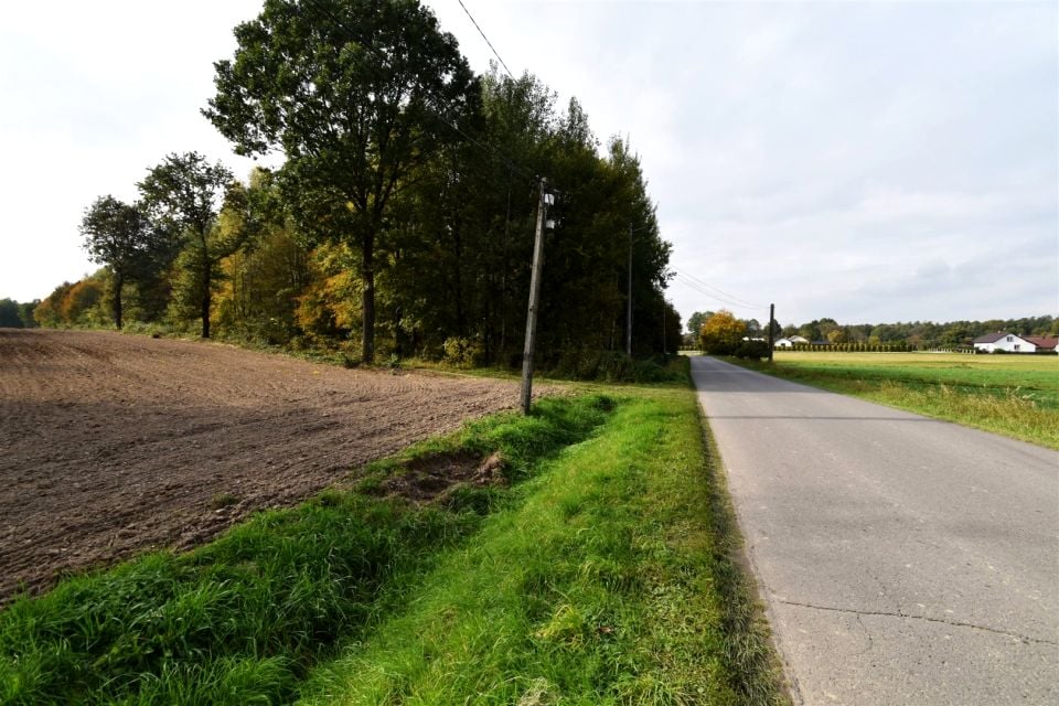 Działka przy lesie