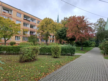 Mieszkanie Żyrardów