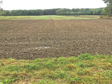 Działka inna Borowa