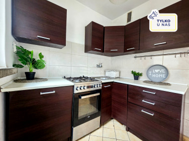 Mieszkanie Piechowice