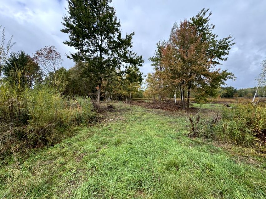 Działka inwestycyjna Sułkowice