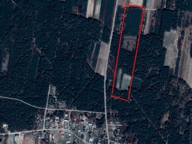 Działka leśna Stare Lipki