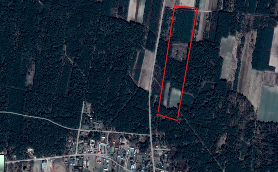 Działka leśna Stare Lipki