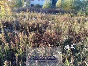 Działka budowlana Falenty