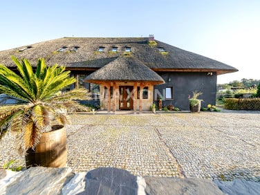 Lokal Sędziszów