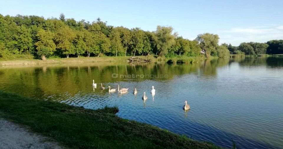 Działka inwestycyjna Klementowice