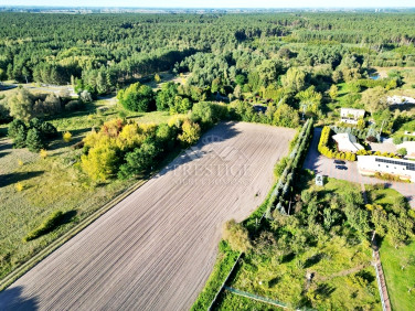 Działka Niemojewo