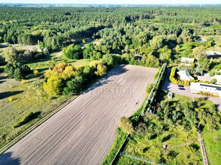 Działka Niemojewo