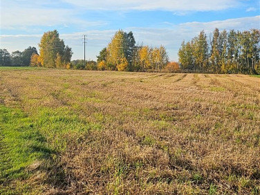 Działka usługowa Szczedrzyk