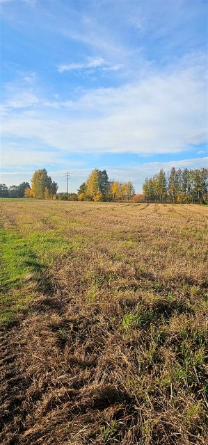 Działka usługowa Szczedrzyk