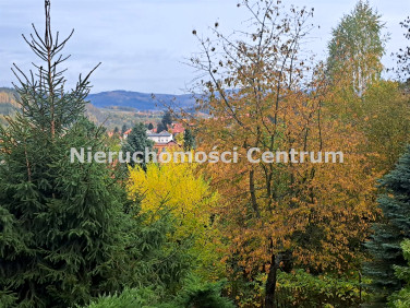 Mieszkanie Nowa Ruda