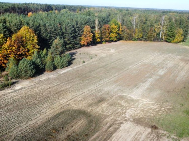 Działka Wola Pieczyska