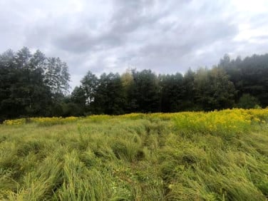 Działka leśna Pyskowice