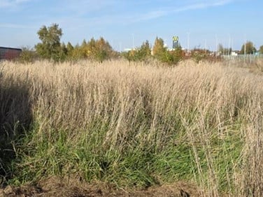 Działka budowlana Dąbrowa Górnicza